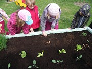 Zahradničíme ve školce